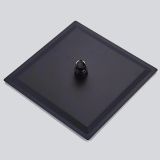 Hoofddouche Slim 20x20cm mat zwart